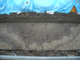 FileNo.156-102.jpg