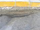 FileNo.156-103.jpg