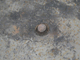 FileNo.156-111.jpg