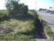 FileNo.156-001.jpg
