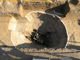 FileNo.156-032.jpg