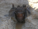 FileNo.156-034.jpg
