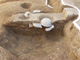 FileNo.150-042.jpg
