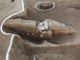 FileNo.150-046.jpg