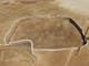 FileNo.150-052.jpg