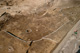 FileNo.150-061.jpg