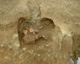 FileNo.150-087.jpg