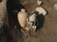 FileNo.150-094.jpg
