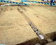 FileNo.150-101.jpg