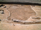 FileNo.150-105.jpg