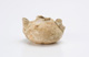 FileNo.150-222.jpg