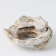 FileNo.140-062.jpg