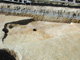 FileNo.140-096.jpg