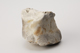 FileNo.144-131.jpg