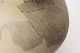FileNo.144-134.jpg