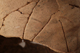 FileNo.144-135.jpg