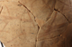 FileNo.144-136.jpg