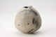 FileNo.144-144.jpg