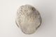FileNo.144-164.jpg