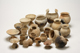 FileNo.144-171.jpg