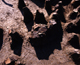 FileNo.144-201.jpg