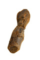 FileNo.144-211.jpg