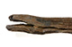 FileNo.144-212.jpg