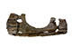 FileNo.144-225.jpg
