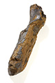 FileNo.144-230.jpg