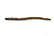 FileNo.144-251.jpg
