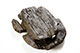 FileNo.144-262.jpg