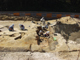 FileNo.151-003.jpg
