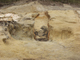 FileNo.151-005.jpg