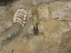 FileNo.151-006.jpg