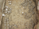 FileNo.151-007.jpg