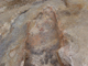 FileNo.151-008.jpg