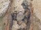 FileNo.151-009.jpg