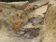 FileNo.151-010.jpg
