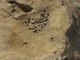 FileNo.151-012.jpg