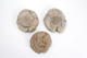 FileNo.151-097.jpg
