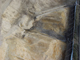 FileNo.151-108.jpg