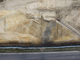FileNo.151-111.jpg