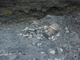 FileNo.151-113.jpg