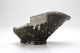FileNo.151-158.jpg