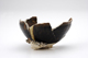 FileNo.151-164.jpg