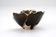FileNo.151-166.jpg