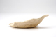 FileNo.151-178.jpg