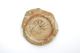 FileNo.151-184.jpg