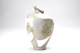 FileNo.151-185.jpg