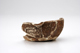 FileNo.151-204.jpg